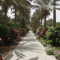 фото из отзыва ID 1158334