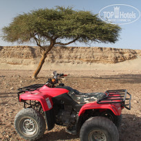 фото из отзыва ID 1158334