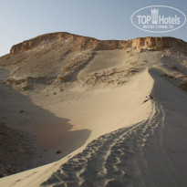 фото из отзыва ID 1158334