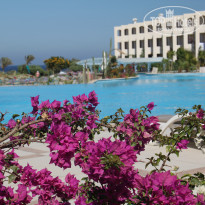 фото из отзыва ID 1158334