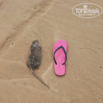 фото из отзыва ID 1158372