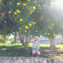 фото из отзыва ID 1158421