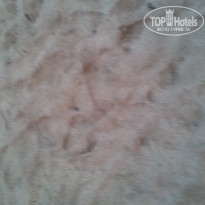 фото из отзыва ID 1158421