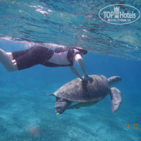 фото из отзыва ID 1158423