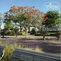 фото из отзыва ID 1157839