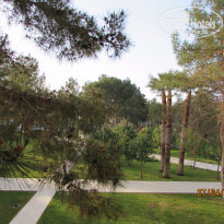 фото из отзыва ID 1158714