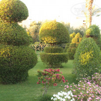 фото из отзыва ID 1158828