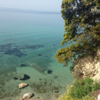 фото из отзыва ID 1159018