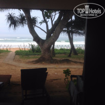 фото из отзыва ID 1159268