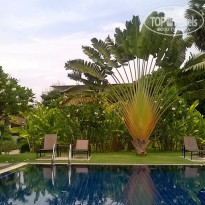 фото из отзыва ID 1159474