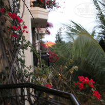 фото из отзыва ID 1159518