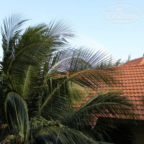 фото из отзыва ID 1159518