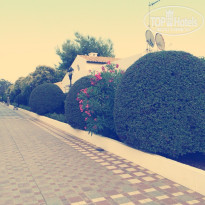 фото из отзыва ID 1159624