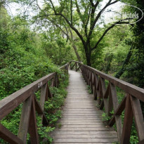 фото из отзыва ID 1159882