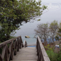 фото из отзыва ID 1159882