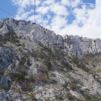 фото из отзыва ID 1159882