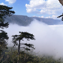 фото из отзыва ID 1159882