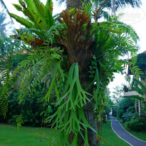 фото из отзыва ID 1156602