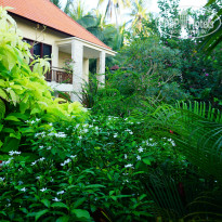 фото из отзыва ID 1156602