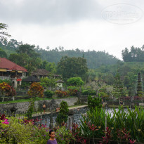 фото из отзыва ID 1156602