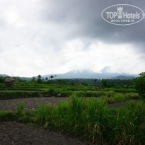 фото из отзыва ID 1156602