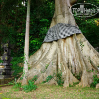 фото из отзыва ID 1156602