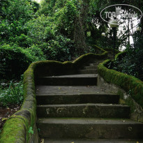 фото из отзыва ID 1156602