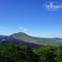 фото из отзыва ID 1156602