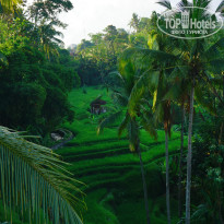 фото из отзыва ID 1156602