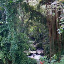 фото из отзыва ID 1156602