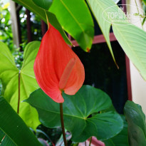 фото из отзыва ID 1156602