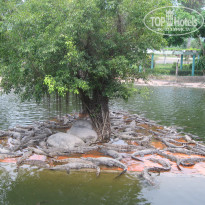 фото из отзыва ID 1158525