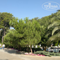 фото из отзыва ID 1154883