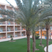 фото из отзыва ID 1156588