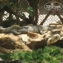 фото из отзыва ID 1156588