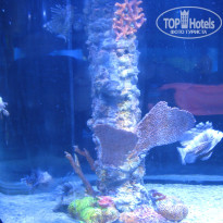 фото из отзыва ID 1156588