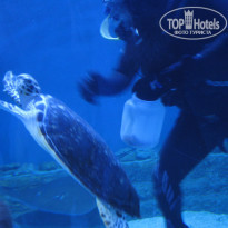 фото из отзыва ID 1156588