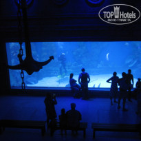 фото из отзыва ID 1156588