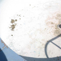 фото из отзыва ID 116549