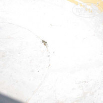 фото из отзыва ID 116549