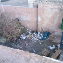 фото из отзыва ID 116549