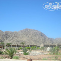 фото из отзыва ID 116568