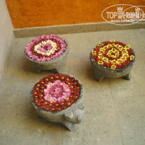 фото из отзыва ID 116691