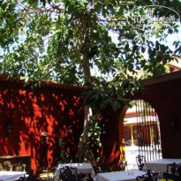 фото из отзыва ID 116691