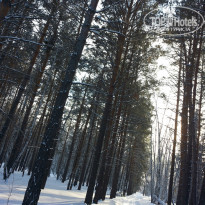 фото из отзыва ID 1160468