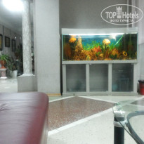 фото из отзыва ID 1160468