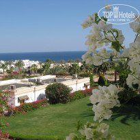 фото из отзыва ID 1161831