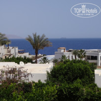 фото из отзыва ID 1162082