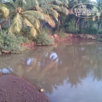 фото из отзыва ID 1162150