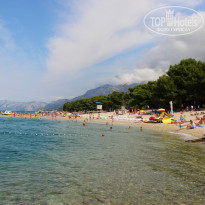 фото из отзыва ID 1162230